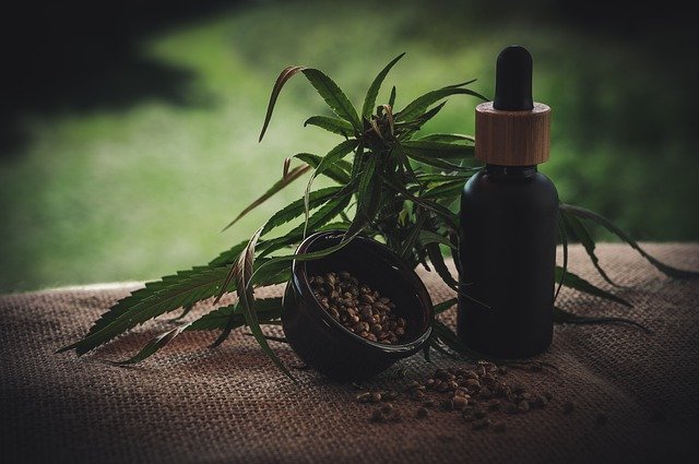 Découvrez les cannabis OG Kush