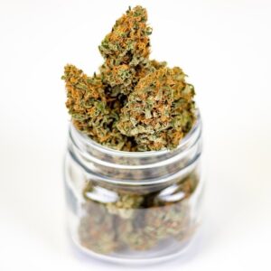 Profitez des différents bienfaits de la fleur de CBD