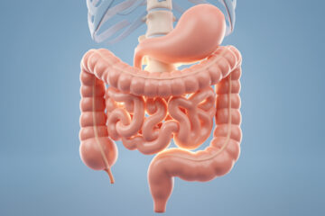 Illustration médicale en trois dimensions montrant l’intestin et la partie basse de la colonne vertébrale, avec un éclairage doux soulignant leur proximité anatomique.